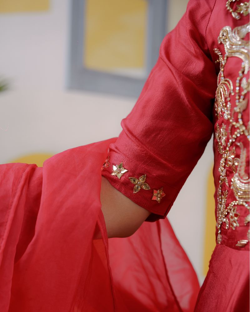 SINDOORI-SPARK GOWN SET