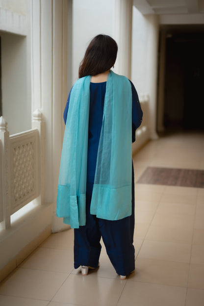 Sapphire Farshi Salwar Suit Set