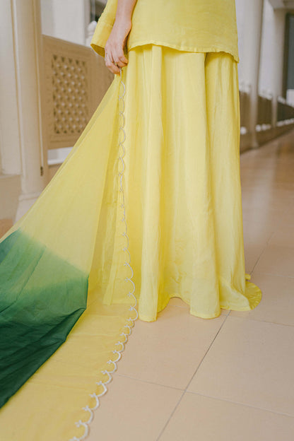CITRINA-SHINE SHARARA SET